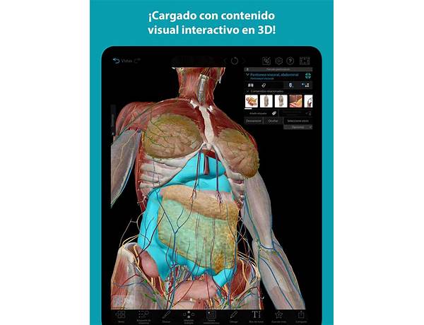 Test imágenes Anatomía for Android - Download the APK from Habererciyes